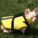 Dog Life Vest