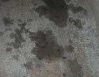 Cleaning Oil Spots from Your Garage/Driveway