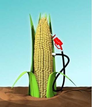 More Ethanol Is Not the Answer